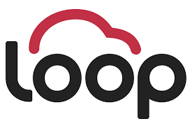 Loop Leilões